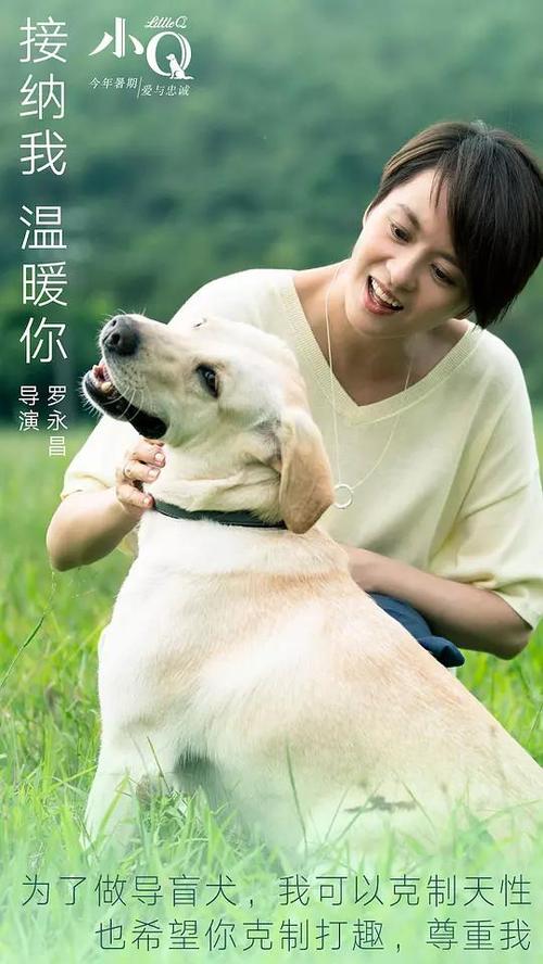 怎么购买加拿大罗杰斯公用事业账单
